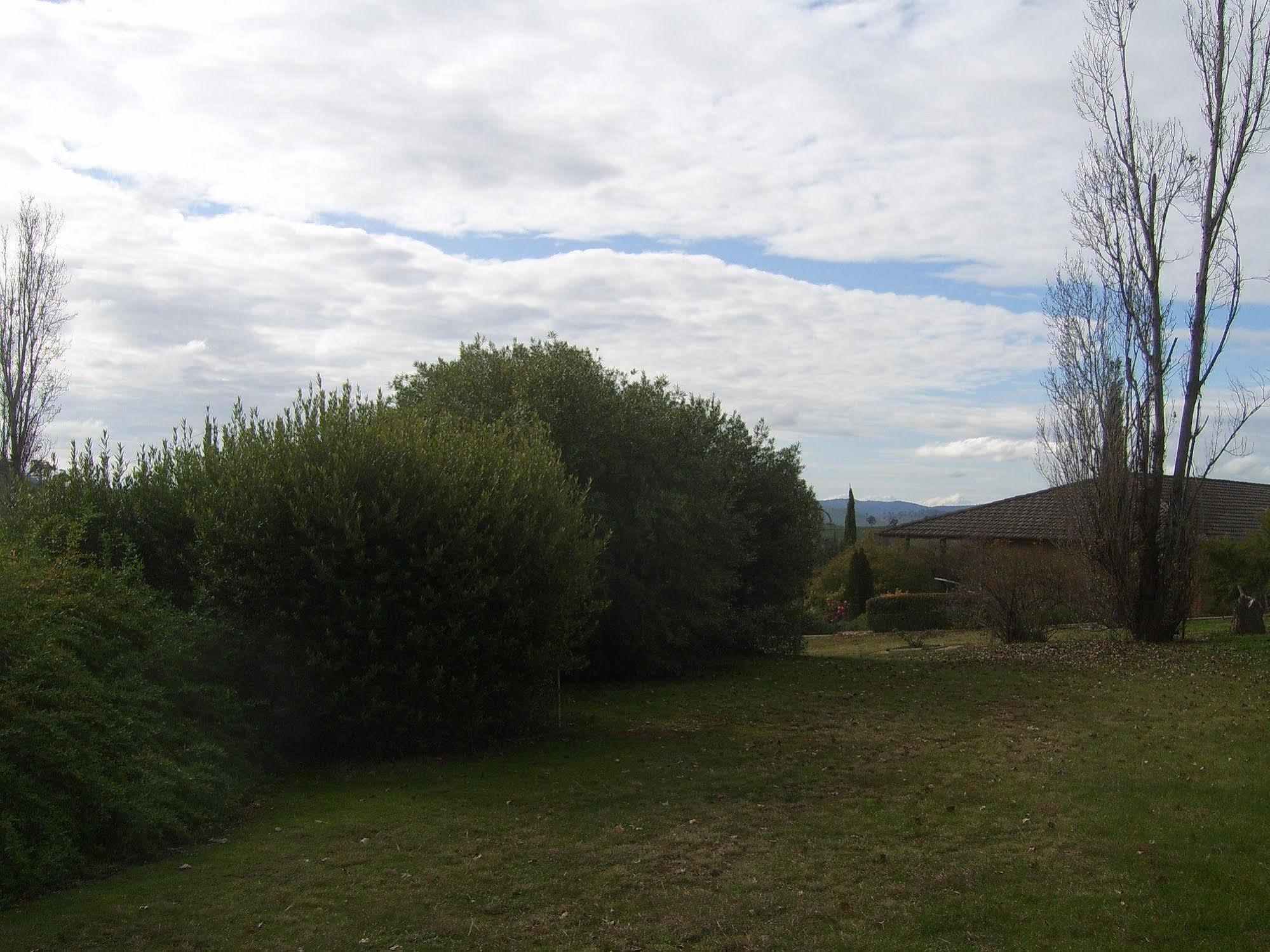 Garden Motor Inn Gundagai Exterior foto